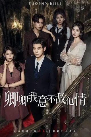 《卿卿我意不敌他情》短剧封面