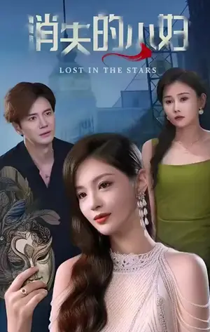 《消失的主妇（100集）》短剧封面