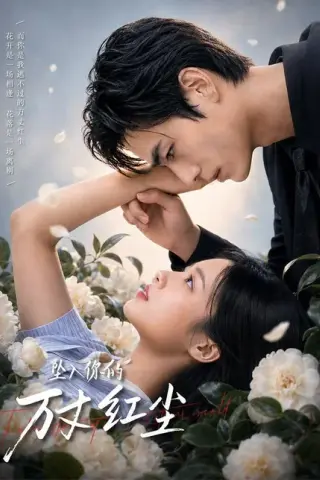《坠入你的万丈红尘（72集）（夸克网盘）》短剧封面