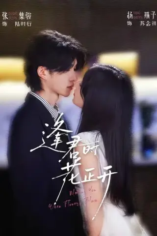 《逢君时花正开（72集）张集骏＆杨殊予（1080P）（夸克网盘）》短剧封面