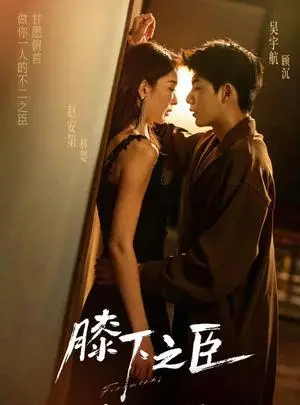 《膝下之臣（56集）赵安第&吴宇航（夸克网盘）》短剧封面