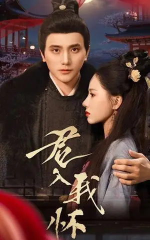 《君入我怀（60集）（夸克网盘）》短剧封面
