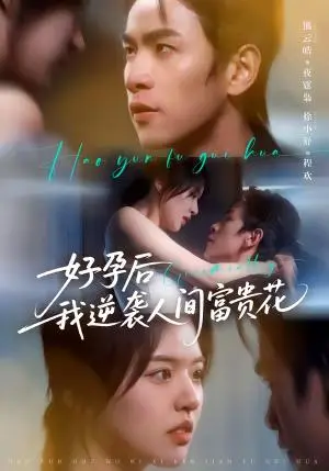 《夜先生的小欢喜＆好孕后我逆袭人间富贵花（71集）熊云皓＆徐小舒（夸克网盘）》短剧封面