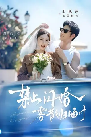 《禁止闪婚，雾散归栖时（66集）王凯沐＆谭盐盐（1080P）（夸克网盘）》短剧封面