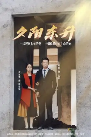 《夕阳东升（30集）（夸克网盘）》短剧封面
