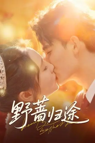 《野蔷归途（80集）李书滔＆尚芸琪》短剧封面