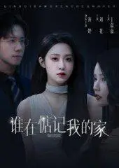 《谁在惦记我的家（30集）刘北&王嘉嘉》短剧封面