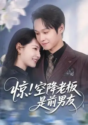 《惊！空降老板是前男友（65集）董洁&王金泽（夸克网盘）》短剧封面