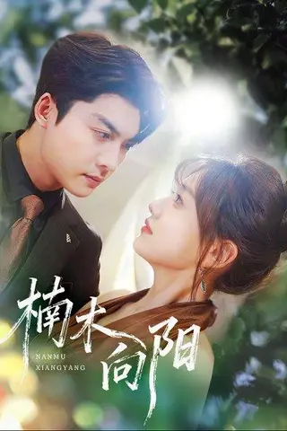 《楠木向阳（70集）方正男＆仇乐瑶》短剧封面