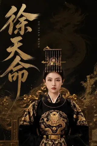 《徐天命（79集）（百度网盘）》短剧封面