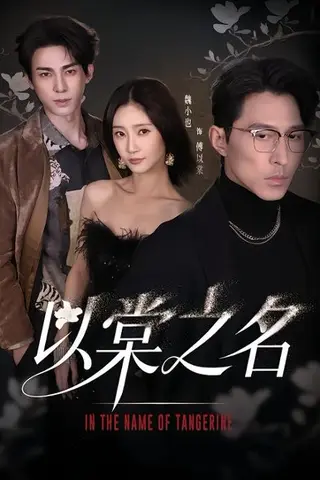 《以棠之名（66集）魏小也&冯文栋（百度网盘）》短剧封面