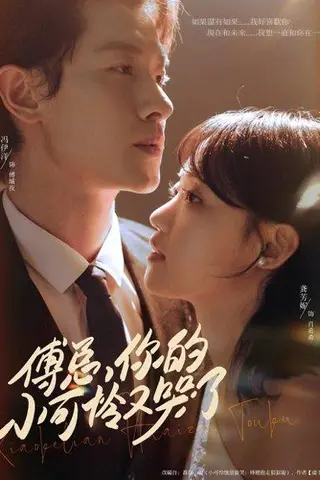 《傅总你的小可怜又哭了（80集）冯伊洋＆龚芳妮》短剧封面
