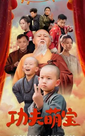 《功夫萌宝（62集）丁晓（夸克网盘）》短剧封面