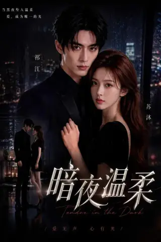 《暗夜温柔（25集）（夸克网盘）》短剧封面