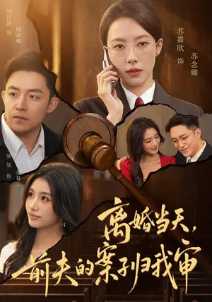 《离婚当天，前夫的案子归我审（63集）苏嘉欣&刘月涛（夸克网盘）》短剧封面