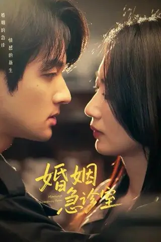 《婚姻急诊室（20集）赵子麒＆林子煊》短剧封面