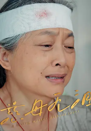 《慈母无泪（30集）》短剧封面