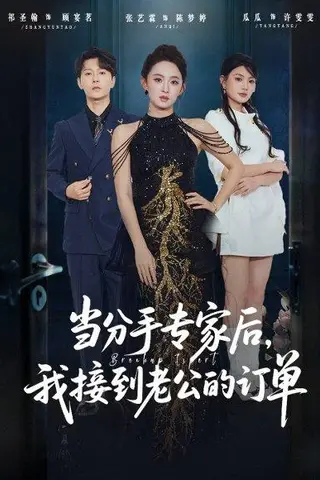 《当分手专家后，我接到老公的订单（77集）张艺霖＆祁圣翰》短剧封面