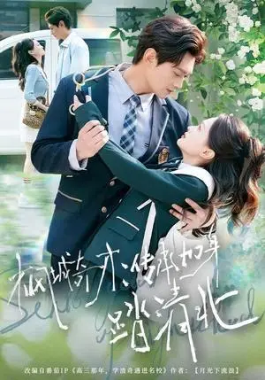 《枫城奇才：传承加身踏清北（80集）俞玟霞&杨紫皓（夸克网盘）》短剧封面