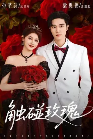 《触碰玫瑰（80集）梁思伟＆孙芊浔》短剧封面