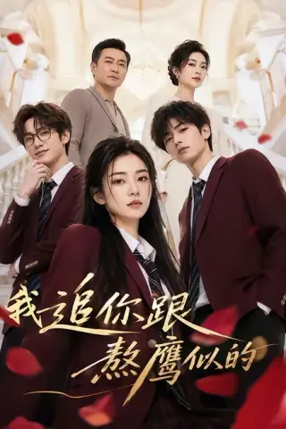 《我追你跟熬鹰似的（95集）（夸克网盘）》短剧封面