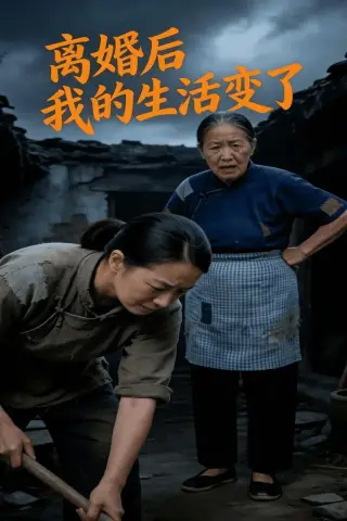 《离婚后，我的生活变了（69集）AI短剧（夸克网盘）》短剧封面