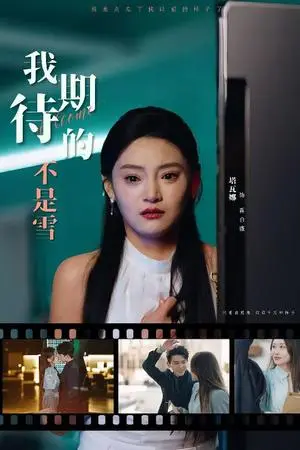 《我期待的不是雪（30集）塔瓦娜（夸克网盘）》短剧封面