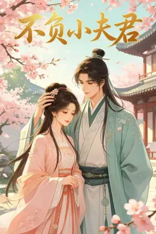 《不负小夫君（41集）（百度网盘）》短剧封面