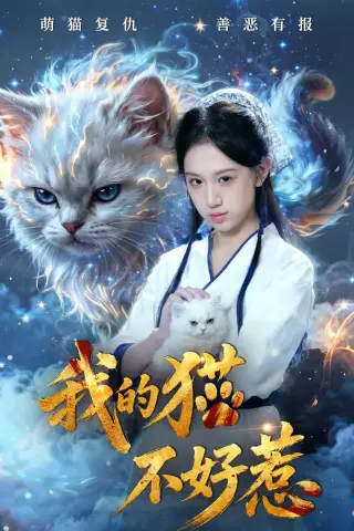 《我的猫不好惹（42集）江来＆陈鸿运（夸克网盘）》短剧封面