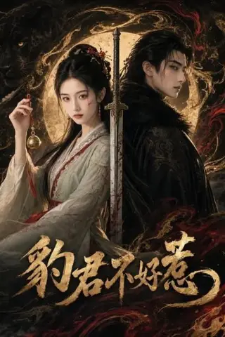 《豹君不好惹（37集）（百度网盘）》短剧封面
