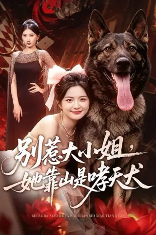 《别惹大小姐，她靠山是哮天犬（86集）常珂欣＆刘继泽（夸克网盘）》短剧封面