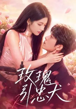 《玫瑰引忠犬（42集）（夸克网盘）》短剧封面
