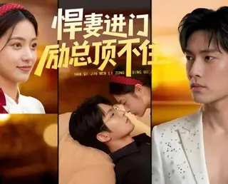 《悍妻进门励总顶不住1080P（55集）企鹅独播（百度网盘）》短剧封面