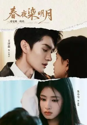 《春夜染明月（48集）王译磊＆朱小雪（夸克网盘）》短剧封面