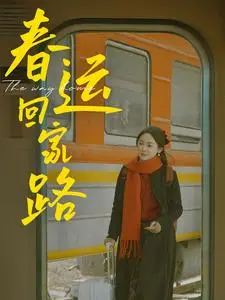 《春运回家路（32集）（夸克网盘）》短剧封面