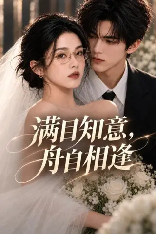 《满目知意，舟自相逢（40集）（夸克网盘）》短剧封面