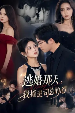 《逃婚那天，我撞进司总的心（61集）余容＆张予晴（百度网盘）》短剧封面