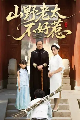 《山野老太不好惹＆奶奶一脚震全城（64集）》短剧封面