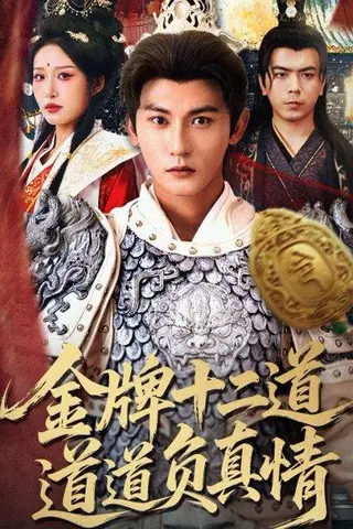 《金牌十二道道道负真情（70集）宋楠&孙虎城（百度网盘）》短剧封面