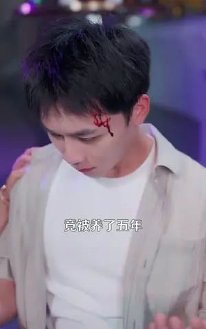 《都市一品傻婿(96集)》短剧封面