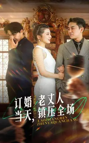 《订婚当天，老丈人镇压全场（29集）（夸克网盘）》短剧封面