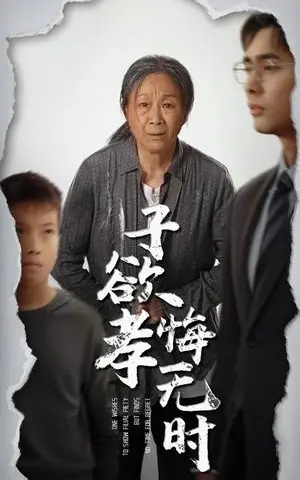 《子欲孝悔无时（54集）米琦&吴子明（夸克网盘）》短剧封面