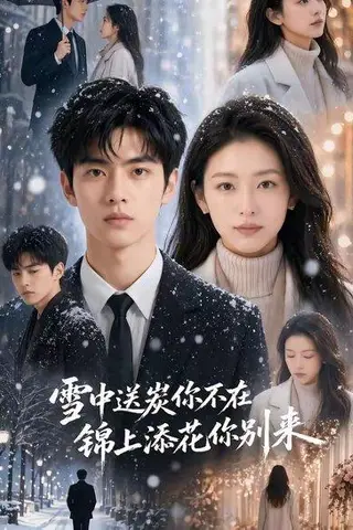 《雪中送炭你不在，锦上添花你别来（60集）（百度网盘）》短剧封面
