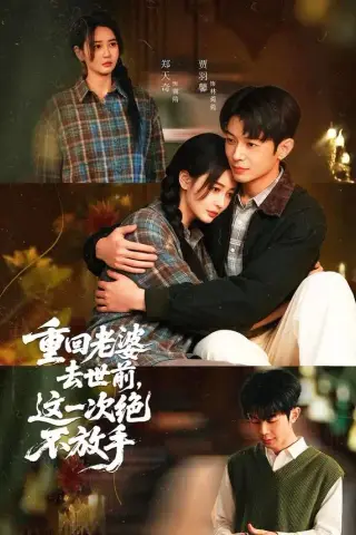 《重回老婆去世前，这一次绝不放手（80集）郑天奇＆贾羽馨（夸克网盘）》短剧封面