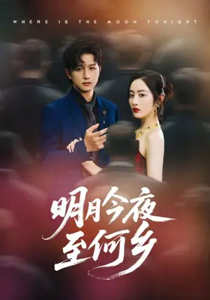 《明月今夜至何乡（70集）》短剧封面