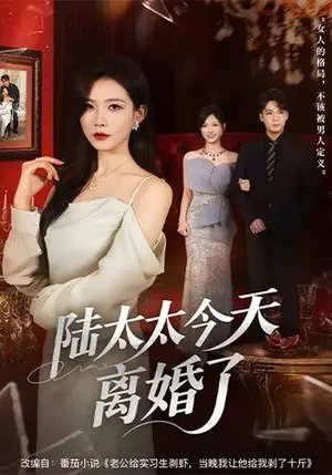 《陆太太今天离婚了（59集）刘灿&丁敬一（夸克网盘）》短剧封面