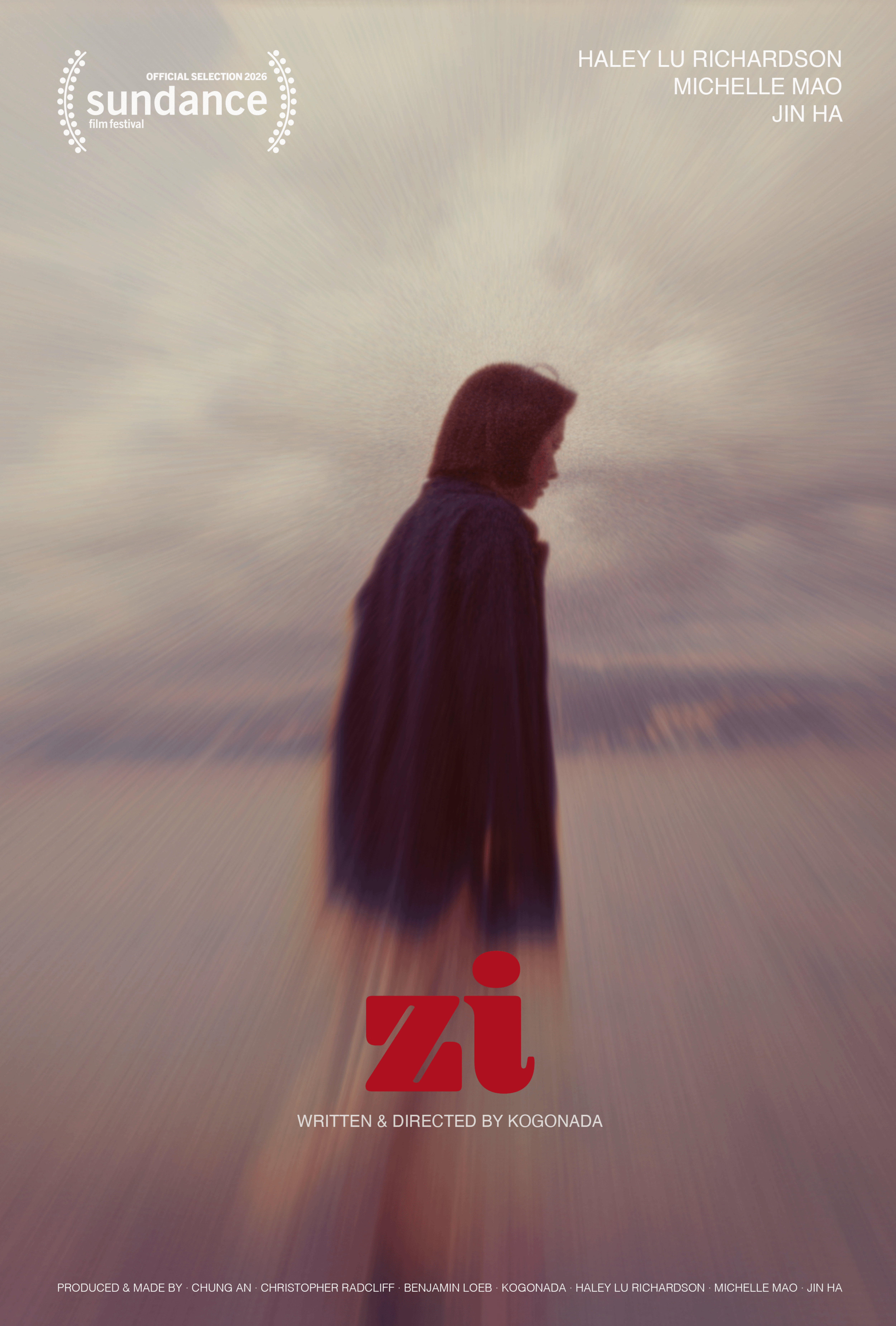 《Z长着我面容的女人》电影封面