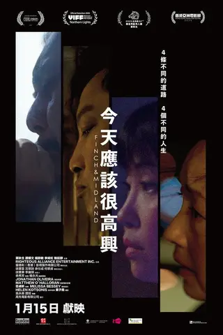 今天应该很高兴封面
