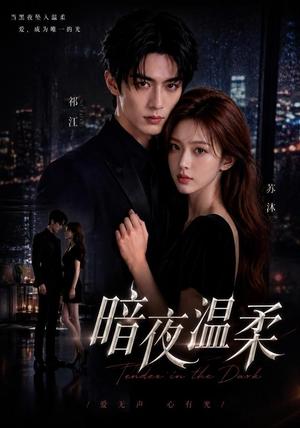 《暗夜温柔(25集)(夸克网盘)》短剧封面