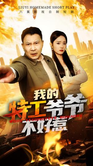 《我的特工爷爷不好惹（68集）（夸克网盘）》短剧封面